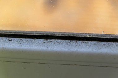 Temizlik ve bakım eksikliğini gösteren bulanık bir arka planda birikmiş toz ve enkazı gösteren kirli pencere pervazının yakın görüntüsü.