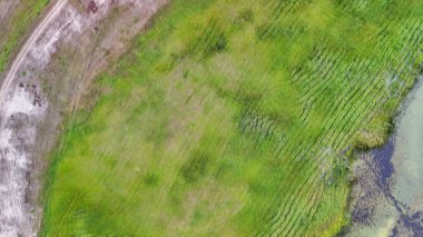 Yüzeyde dokulu desenleri olan canlı yeşil bir alanın havadan görünüşü. Huzurlu manzara, güzellikleri gözler önüne sermek için mükemmeldir..