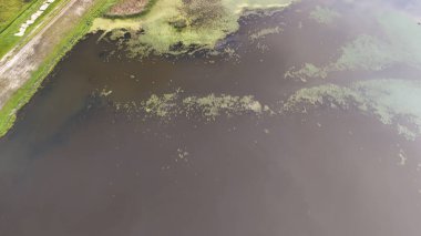 Yeşil yosun ve bitkilerle dolu karanlık bir su yüzeyinin havadan görünüşü. Sahne, gündüz vakti doğal park ortamında geçen doğanın sükunetini yakalıyor..