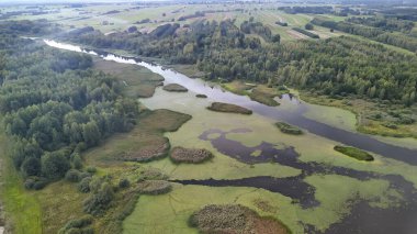 Bereketli yeşil ormanlar ve sulak alanlarda süzülen sakin bir nehrin havadan görünüşü gündüz manzarasının doğal güzelliğini ve biyolojik çeşitliliğini gösteriyor..