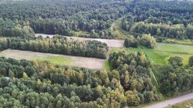 Mavi gökyüzünün altındaki yemyeşil ormanlar ve çayırlar, canlı doğa ve tarım arazilerini gözler önüne seriyor. Çevresel farkındalık ve açık hava yaşam tarzı temaları için ideal.