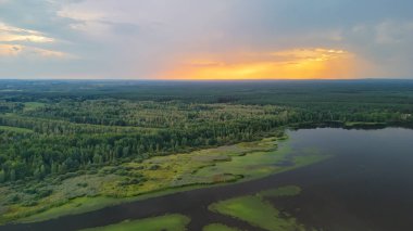 Bereketli ağaçlar ve yapraklarla dolu sakin bir göl kenarındaki uçsuz bucaksız yeşil manzaranın manzarası. Gün batımı ufukta sıcak bir parıltı bırakır ve huzurlu bir atmosfer yaratır..