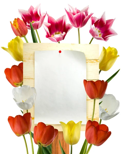Fehér Papírlap Egy Gombbal Egy Hirdetőtáblára Tűzve Gyönyörű Virágokkal Körülvett — Stock Fotó