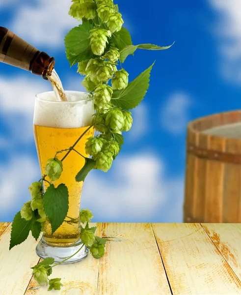 Image of beer that is poured from bottles into a mug and hops lying nearby on a wooden table