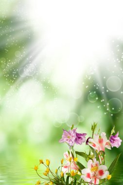 Bulanık yeşil arkaplanda güzel çiçeklerin görüntüsü