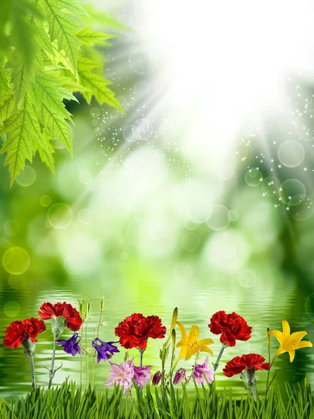 Imagen Hermosas Flores Sobre Fondo Verde Borroso Abstracto —  Fotos de Stock