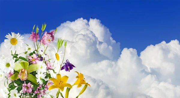 Image of flowers in the grass against the background of clouds