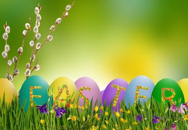 Egy Húsvéti Üdvözlőlap Képe Amelyen Húsvéti Tojások Gyönyörű Virágokkal Háttérben — Stock Fotó