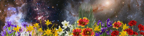 Närbild Bild Vackra Ljusa Festliga Blommor Grön Suddig Bakgrund — Stockfoto