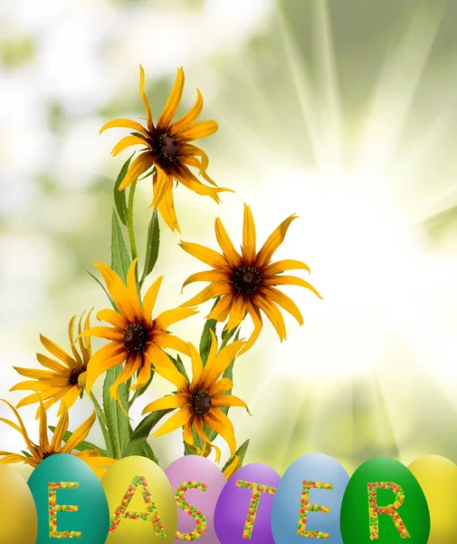 Image Easter Greeting Card Which Easter Eggs Beautiful Flowers Background — Stock Photo, Image