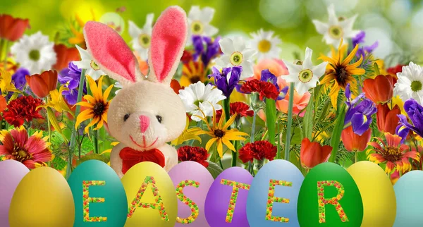 Egy Húsvéti Üdvözlőlap Képe Amelyen Húsvéti Tojás Egy Nyúl Gyönyörű — Stock Fotó