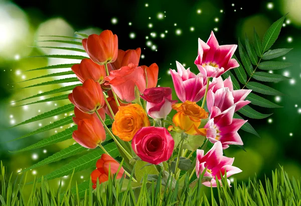 Image Gros Plan Belles Fleurs Festives Lumineuses Sur Fond Vert — Photo