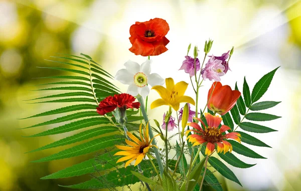 Imagen Cerca Hermosas Flores Festivas Brillantes Sobre Fondo Verde Borroso —  Fotos de Stock