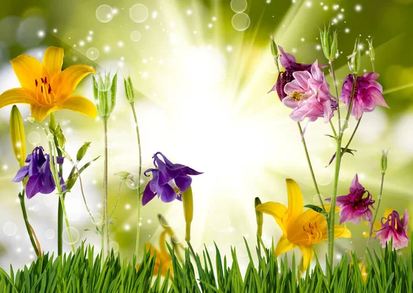 緑の背景に美しい明るいお祝いの花のクローズアップイメージ — ストック写真
