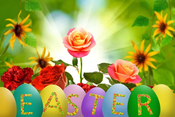 Das Bild Einer Ostergrußkarte Auf Der Ostereier Mit Schönen Blumen — Stockfoto