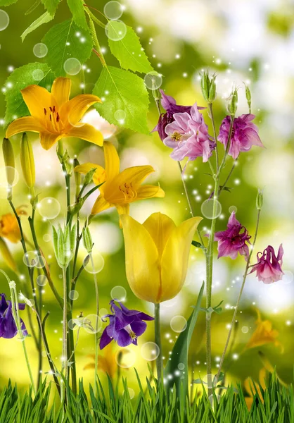 Imagen Cerca Hermosas Flores Festivas Brillantes Sobre Fondo Verde Borroso — Foto de Stock