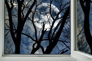 Açık bir pencereden ağacın dallarının arkasındaki dolunayın görüntüsü
