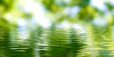 Bulanık yeşil arkaplan ve su yüzeyindeki yansımasının soyut görüntüsü.