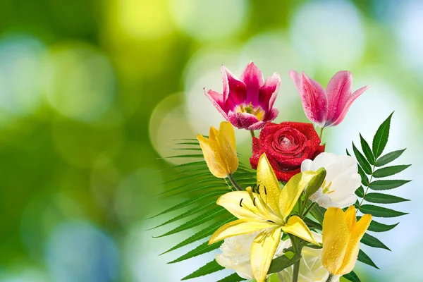 Detailní Záběr Krásné Zářivé Slavnostní Květiny Zeleném Rozmazaném Pozadí — Stock fotografie