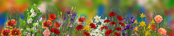 Close Beeld Van Mooie Heldere Feestelijke Bloemen Een Groene Wazige — Stockfoto