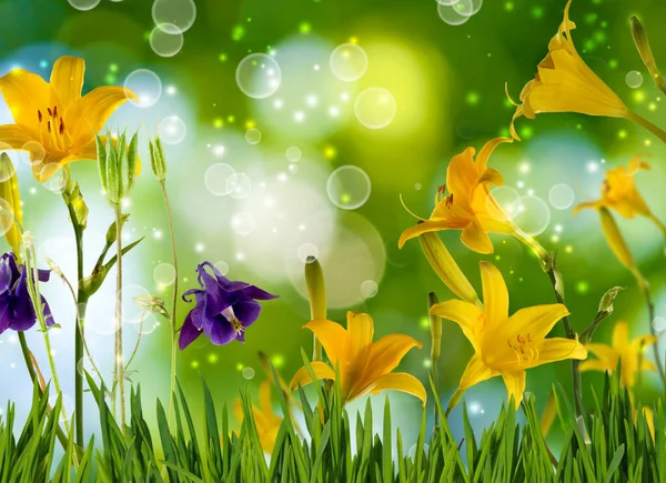 Närbild Bild Vackra Ljusa Festliga Blommor Grön Suddig Bakgrund Stockbild
