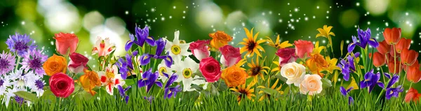 Közelkép Gyönyörű Fényes Ünnepi Virágok Zöld Homályos Háttér — Stock Fotó