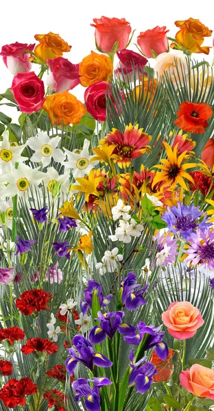 배경에 축제의 꽃들이 — 스톡 사진
