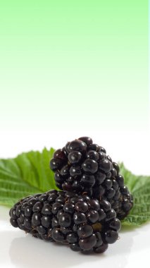 Mavi arkaplanda yaprakları olan kırmızı kiraz çilekleri.