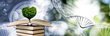 Bir yığın kitabın görüntüsü ve üzerinde stilize DNA zincirlerinin arka planında kalp şeklinde bir taç ile bir ağacın büyüdüğü açık bir kitap var.