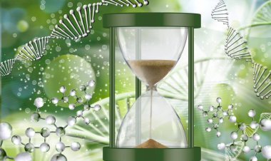 Soyut stilize DNA zincirinin arka planında bir kum saatinin görüntüsü