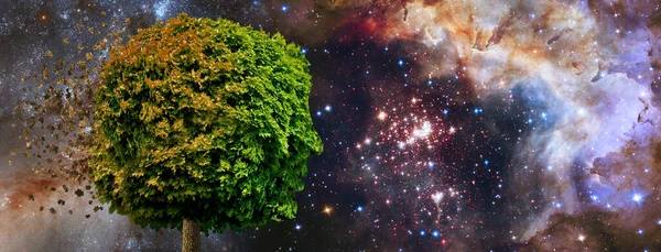 Wizerunek Drzewa Postaci Ludzkiej Głowy Tle Kosmicznego Krajobrazu Ponadto Liście — Zdjęcie stockowe