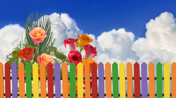 Image of a rustic fence and beautiful flowers behind the fence against the backdrop of a huge white cloud and blue sky