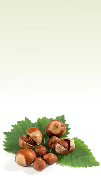 ヘーゼルナッツの殻と全体のイメージと白い背景にヘーゼルナッツの葉に横たわっている — ストック写真
