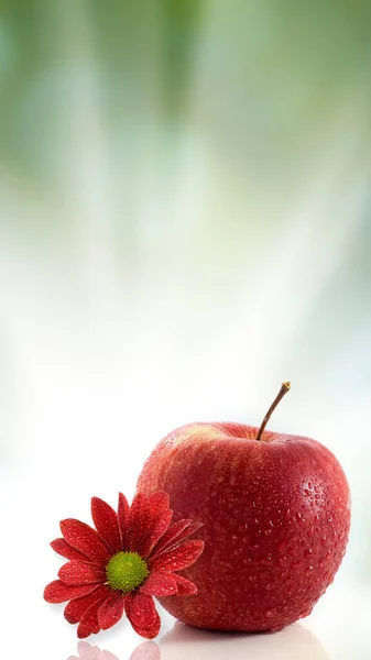 Image Red Apple Water Drops Beautiful Flower Foreground White Background — Stock Photo, Image