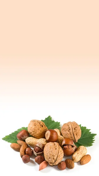 Picture Mixture Hazelnuts Peanuts Walnuts Hazelnut Leaves White Background — Stock Photo, Image