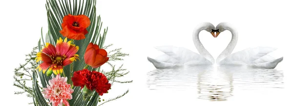 Romantic banner with beautiful flowers and swans. Two swans form a heart shape with their necks