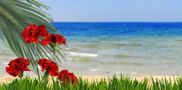 Wizerunek Pięknych Kwiatów Trawie Egzotycznych Roślin Tle Morza Czystego Nieba — Zdjęcie stockowe