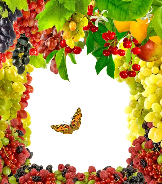 Een Afbeelding Van Verschillende Vruchten Druiven Appels Citroen Frambozen Vormen — Stockfoto