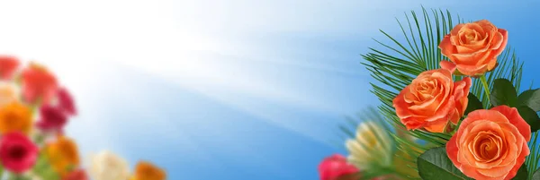 Зображення Красивих Червоних Троянд Тлі Блакитного Неба Сонячних Променів — стокове фото