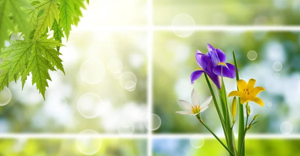 美丽的花朵和枫叶在绿色抽象背景上的形象 — 图库照片