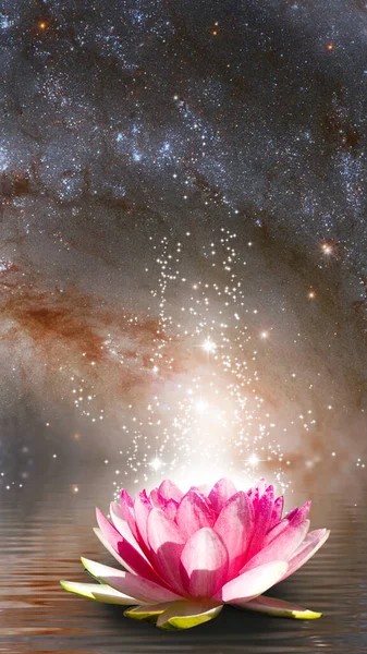 Gyönyörű Lótuszvirágok Képe Kozmikus Táj Hátterében Stock Fotó