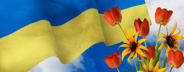 Ukrayna bayrağının rüzgarda dalgalanan görüntüsü ve güzel festival renkleri