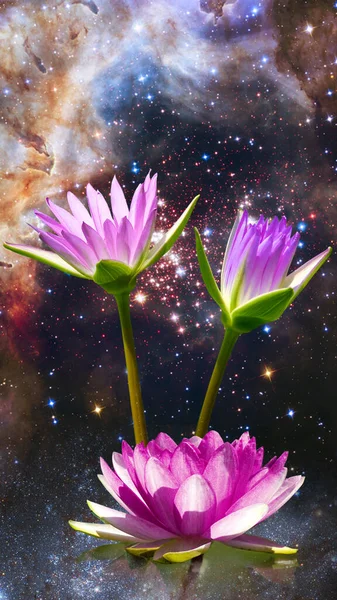 Изображение Красивых Цветов Лотоса Фоне Космического Ландшафта — стоковое фото