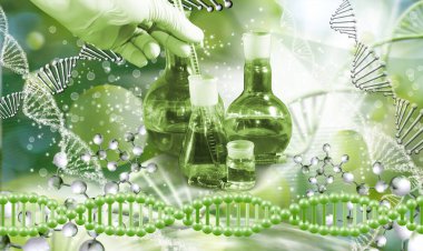 Bir laboratuvar asistanının elinde mataraya batırılmış bir ölçüm tüpü ve diğer mataralarla stilize edilmiş DNA zincirlerinin arka planında çekilmiş bir resim. Biyoteknoloji ve genetik araştırma.