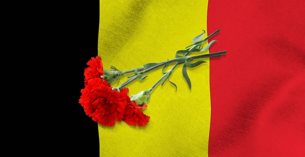 Imagen Tres Claveles Rojos Bandera Bélgica —  Fotos de Stock