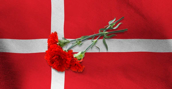 Imagen Tres Claveles Rojos Bandera Dinamarca — Foto de Stock