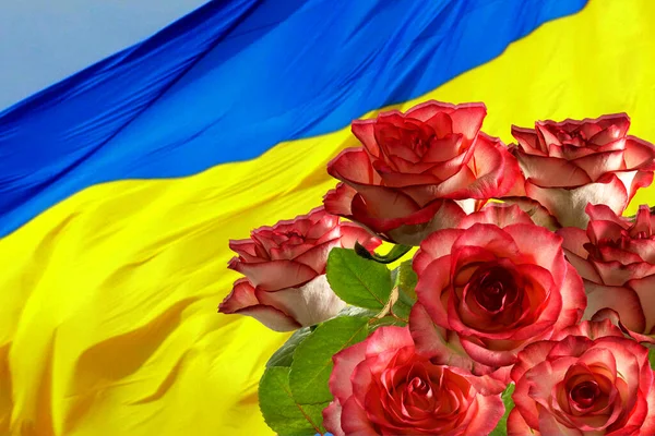 Imagen Bandera Ucrania Ondeando Viento Hermosos Colores Festivos —  Fotos de Stock