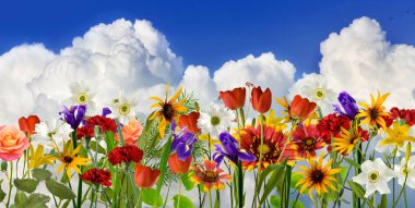 Resimli bulutların ve mavi gökyüzünün arka planında güzel çiçeklerin görüntüsü