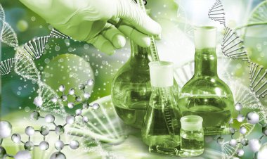 Bir laboratuvar asistanının elinde mataraya batırılmış bir ölçüm tüpü ve diğer mataralarla stilize edilmiş DNA zincirlerinin arka planında çekilmiş bir resim. Biyoteknoloji ve genetik araştırma.