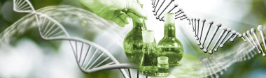 Bir laboratuvar asistanının elinde mataraya batırılmış bir ölçüm tüpü ve diğer mataralarla stilize edilmiş DNA zincirlerinin arka planında çekilmiş bir resim. Biyoteknoloji ve genetik araştırma.